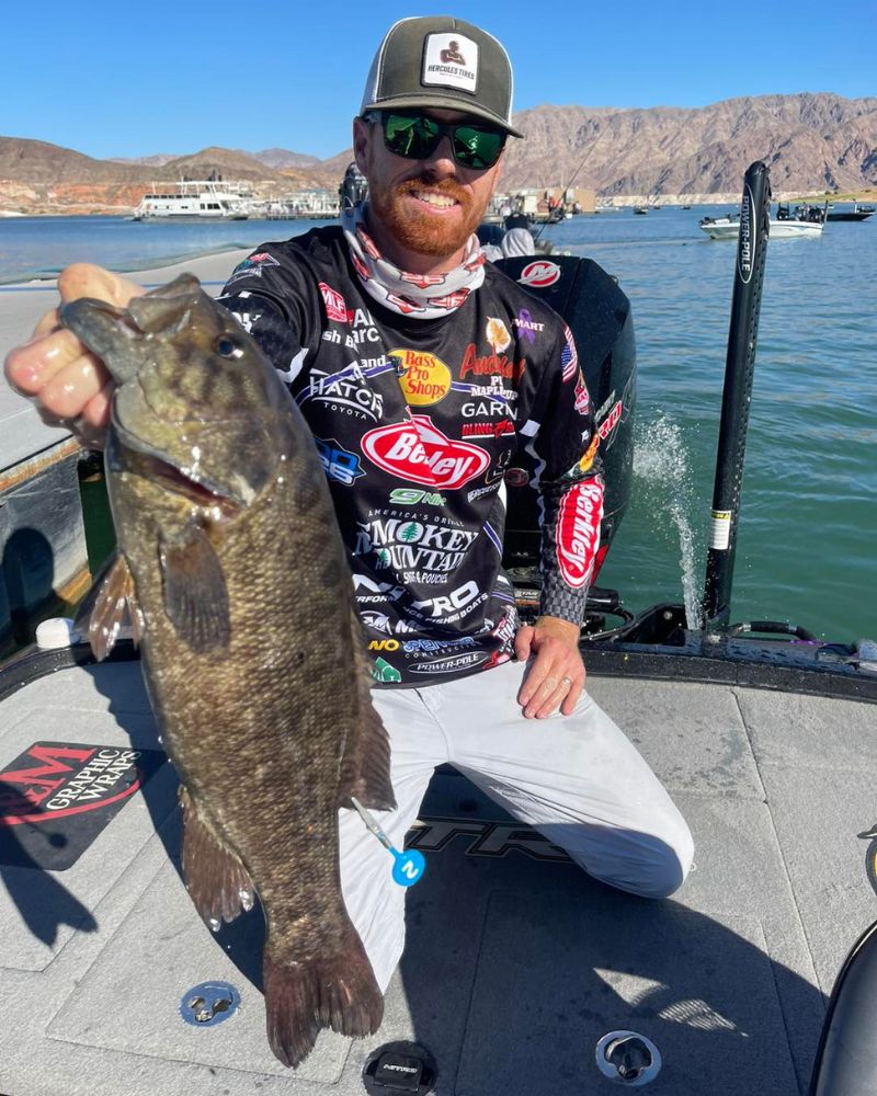 Angler holding a large, dark brown fish with greenish hues, on a boat with mountain and marina background. Bright, sunny day.